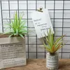 Dekorative Blumen Geschenk Mikro Landschaftsbüro El Desktop Ornament Pflanze Wand Gladiolus Bonsai Faux Aloe Künstliche Sukkulenten