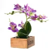 Flores decorativas Um conjunto