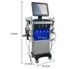 14 dans 1 Machine de dermabrasion en eau du visage Perfusion d'oxygène et exfoliation douce Soins de la peau Anti-vie