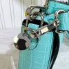Blue Baguette Bags Crossody Handbags Messenger Handbag Alligator Pattern Small Chain Wallet detachable handle Magnetic Snap Flap Fashion Letter