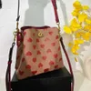 Bolsos de noche de moda Diseñadores Cordón Moda Lujos Diseñador Bolso de cuero Cubo Casual Hombro de mujer Bolsos de cuerpo cruzado PU Corazón