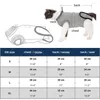 Trajes de gato Pet Puppy Puppy Dog Rest Professional Recovery Suit para feridas abdominais ou doenças de pele alternativa de colarinho eletrônico