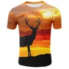 Hommes t-shirts 2023 hommes 3D T-shirt décontracté à manches courtes col rond mode Nature imprimé chemise t-shirts haute qualité marque T-shirt Hombre