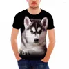 Men's T Shirts Noisydesigns Cool Husky Dog Men/Women Shirt Summer Tops Tees Animal Print T-Shirt Men O-neck Short Sleeve Fashion Tee