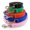 Dog Collars 1.2m-6m Longer Pet Leashes Rope Outdoor Training Running Leash Belt PP Dogs Lead For Chihuahua Small And Large Product