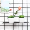 Decorative Flowers Artificial Succulent Potted Ceramic Bonsai Office Living Room Desktop Decoration Fake Succulents With Vase Simulation