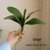 Decorative Flowers Real Touch Orchid Leaves Artificial Plants Fake Simulation Phalaenopsis Leaf Living Room Home Decor Wedding Christmas