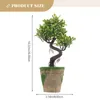 Fiori decorativi Bonsai Albero finto Pino Artificiale Vaso domestico in vaso Saluto Plastica Finto ornamento Autunno Decorazioni per gli ospiti Fiore giapponese