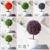 Flores decorativas Verde Rosa Laranja Roxo Azul Amarelo Branco Grama Bola Plantas Artificiais Bonsai Árvore Pequena Ornamento de Mesa Falso