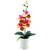 Dekorative Blumen, ausgefallene künstliche Pflanze, UV-beständig, Bonsai, ohne Bewässerung, schöne Desktop-Fälschungs-Schmetterlings-Orchidee, realistisch