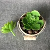 Decorative Flowers 3 PCS House Plants Plastic Arrangements Artificial Wedding Picks Succulent Faux Potted