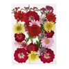 装飾的な花の花輪1バッグrsein型のための乾燥乾燥植物エポキシ樹脂ペンダントネックレスジュエリー作りクラフトdiyネイルアートD