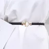 أحزمة ذهبية مستديرة مشبك نساء بو الجلود رقيقة اللباس حزام قابلة للتعديل