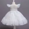 Flickans klänningar Sommar Pretty Girls Birthday Party Commonion Ceremony Princess Lace Thin Kids Ball Gown Elegant Size 4-10T