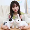 20-30CM mignon lapin en peluche poupées Simulation fourrure réaliste Kawaii Animal lapin de pâques jouet modèle cadeau décoration de la maison