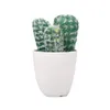 Fleurs décoratives pour la maison, Arrangement Floral, plante réaliste, Simulation en pot, décoration succulente, Cactus artificiel, bonsaï