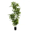 Flores decorativas Plantas artificiais grandes Ficus tropicais ramificações de plástico folhas falsas folhas verdes nandina para decoração de loja de jardim em casa