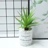 Dekoratif Çiçekler Hediye Mikro Peyzaj Masaüstü Süs Ev Dekorasyonu Yapay Succulents Gladiolus Bonsai Faux Aloe Bitki Duvar