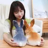 20-30CM Niedliche Kaninchen Plüsch Puppen Simulation Pelz Realistische Kawaii Tier Osterhase Spielzeug Modell Geschenk Hause Dekoration