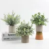 Декоративные цветы 3pcs/Set Mini Potted Artificial Plants Eucalyptus Faux Rostearar