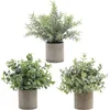 Декоративные цветы 3pcs/Set Mini Potted Artificial Plants Eucalyptus Faux Rostearar