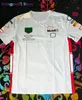 Heren T-shirts F1 team race-T-shirt polyester sneldrogend korte broek dezelfde stal kan worden aangepast 0325H23