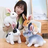 Lindo conejo de peluche de 20-30CM, muñecos de piel de simulación, Animal Kawaii realista, conejito de Pascua, juguete, modelo regalo, decoración del hogar