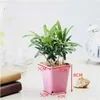 Planters Pots 10PC Colorful Multi Square Nursery Flower Pot Plastic Nursery Pot Plant Seeds Nursery Box Transplant Flower Tray For Home Garden 230324