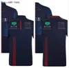 Camisetas masculinas 2023 F1 Equipe New T-Shirt Polo Clothes Four Seasons Formula 1 Racing Roupas Official Custom 0325H23