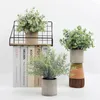 Декоративные цветы 3pcs/Set Mini Potted Artificial Plants Eucalyptus Faux Rostearar