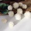 Dekorativa blommor 5st färgglada tallkottar Material Torkade växtprydnader för DIY Party Holiday Christmas Tree Hanging Accessories