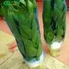 Opbergtassen Plant Potted Net Bag Mouw Lekbestendig nylon om te voorkomen dat bloemenpotmateriaal van Special Mesh valt