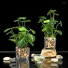 Decoratieve bloemen Noordse ins groene plant dille kunstmatige planten huis ornament kantoor bureaubladdecoratie modern feest