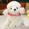 1pc 25cm Güzel Husky Poodle Pomeranian Peluş Oyuncaklar Kawaii Evcil Köpek Doldurulmuş Yumuşak Hayvan Dolls Kızların Çocuk Doğum Günü Hediyeleri