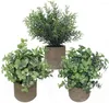 Dekorativa blommor 3 Pack Mini Artificial Potted Plants Eucalyptus Boxwood Rosemary Greenery For Home Indoor Office Decoration