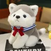 1 pc 25 cm belle Husky caniche poméranien jouets en peluche Kawaii animaux de compagnie chiens en peluche doux animaux poupées filles enfants cadeaux d'anniversaire