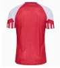 T-shirts hommes 2023 Danemark T-shirt ERIKSEN HOME RED AWAY BLANC 2023 2024 HOJBJERG CHRISTENSEN SKOV OLSEN BRAITHWAITE DOLBERG Chemises de football