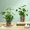 Dekorativa blommor Nordiska ins Green Plant Dill Artificial Plants Home Ornament Office Desktop Decoration Modern Party