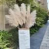 Fiori decorativi 120 cm Fiori secchi naturali Reed Pampas Erba Boho Decorazioni per la casa Decorazioni per matrimoni Sfondo fattoria