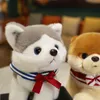 1 pc 25 cm belle Husky caniche poméranien jouets en peluche Kawaii animaux de compagnie chiens en peluche doux animaux poupées filles enfants cadeaux d'anniversaire
