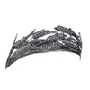 Направления Vintage Tiaras для женщин Crystal Crown Athestone Princess Party Prop