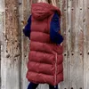 Chalecos para mujer, chaqueta acolchada para mujer, abrigo de invierno con capucha, Color sólido, de un solo pecho, informal, sin mangas, cálido para 2023