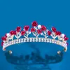 Korean Resin Flower Crowns Prom Rhinestone Bridal Tiara voor vrouw