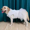 Köpek giyim büyük köpek kıyafetleri yaz büyük köpek elbisesi corgi shiba inu samoyed husky labrador altın retriever giyim japon akita kostüm 230327