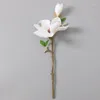 Fleurs décoratives Imitation Magnolia branche courte, accessoires de photographie pour mariage à domicile en plein air, support de fleurs, vêtements d'arrangement