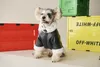 Hundebekleidung, coole Hundejacke aus weichem Leder, warmer Winter-Hundekleidung, wasserdichte Haustierkleidung für französische Bulldoggen, Outfit für kleine und mittelgroße Hunde, 230327