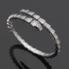 Urok Bracelets Snake Bone Kobiety otwarte regulowane dla stali nierdzewnej mężczyźni Micro Diamond Braceletscharm-01