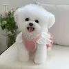 Hondenkleding winterhond kanten jurk kat chihuahua doggy puppy kleding rok