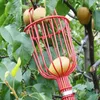 Altri attrezzi da giardino 1 pezzo Raccoglitrice di frutta Collezione Testa di raccolta Strumento Raccoglitore Dispositivo Serra 230327