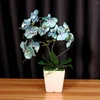 Decorative Flowers Artificial Butterfly Phalaenops Bonsai Aesthetic Fake Plant Silk Flower Branch With Ceramic Vase For Home Wedding